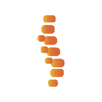 bcchiro spine chiropractor bcchiro bcchirocon Sticker