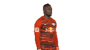 Posing Line Up Sticker by Bundesliga