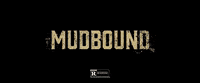 mudbound GIF by TIFF