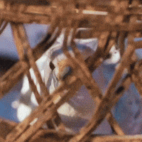 Chinese Drama GIF