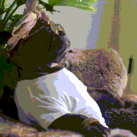 Dog Pam GIF by MOODMAN