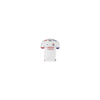 Jersey Lyon Sticker by Olympique Lyonnais