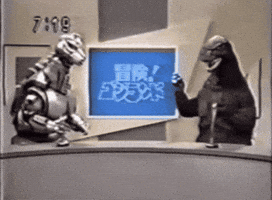 Fight News GIF