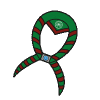 Pañueloguia Sticker by Asociación Guias Argentinas