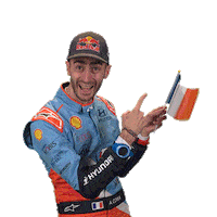 France Hyundai Sticker by FIA World Rally Championship