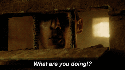 michael scofield fox GIF by Prison Break