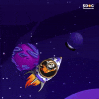 Dogofbitcoin dog runestone dog go to the moon dog bitcoin GIF