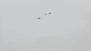 Christopher Walking GIF by Pop Smoke