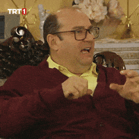 Berat Yenilmez Omg GIF by TRT