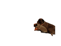 Dog Couple Sticker