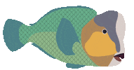 Fish For Tomorrow Sticker by Blue Marine Foundation