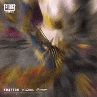 Fly Transformation GIF by Official PUBG MOBILE