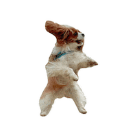 Dogs Love Sticker