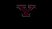 youngstownstate graduation commencement ysu youngstown state GIF