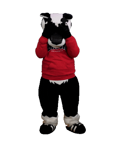 Peek A Boo Wave Sticker by Brock University