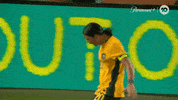 Sport Celebration GIF by Football Australia