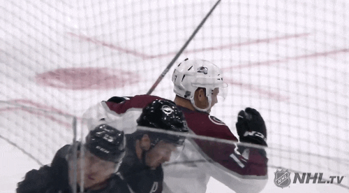 Celebrate Ice Hockey GIF by NHL