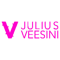 Veesini Logo Flash Sticker by veesini