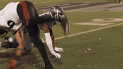 NevadaWolfPack football nevada wolf pack unr GIF