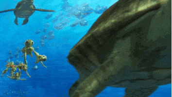 finding dory disney GIF by Disney/Pixar's Finding Dory