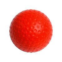 Golfball Sticker by Wheel Fun Rentals MN