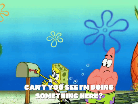 season 5 episode 3 GIF by SpongeBob SquarePants