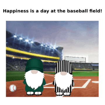 Sport Baseball GIF
