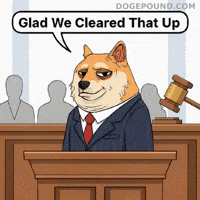 Sarcastic Case Closed GIF by Doge Pound