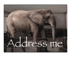 Elephant Sticker