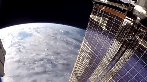 tulsimo giphygifmaker GIF