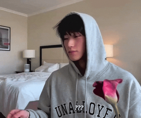 San What GIF