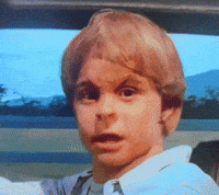 Kitty Cat GIF by Cappa Video Productions