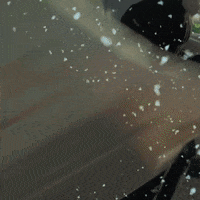 Celtic Fc Christmas GIF by Celtic Football Club