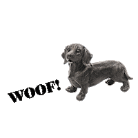 Housevitamin dog design animals black Sticker