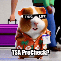 Travel Airport GIF by Guinea Gambino