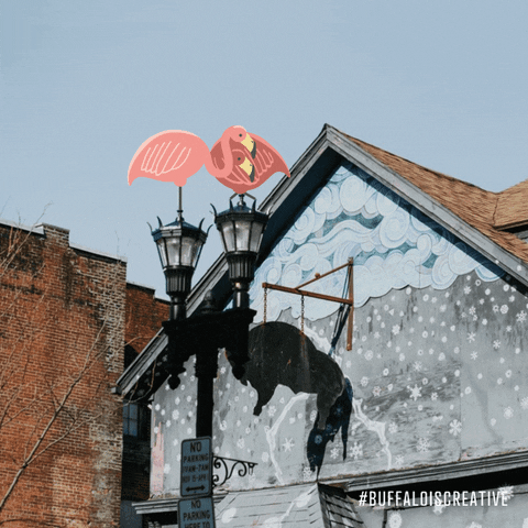 Buffalo Ny Photography GIF by Wonder Brink