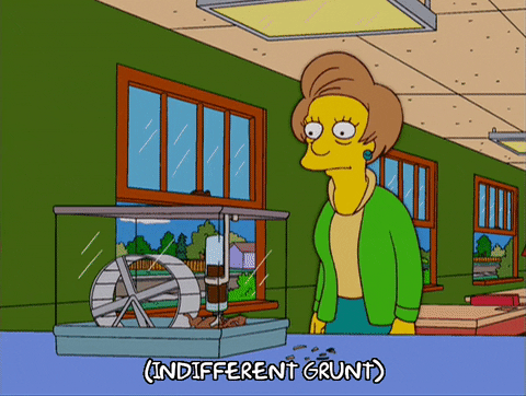 Episode 8 GIF by The Simpsons