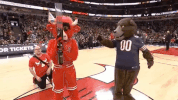 benny the bull nba GIF by Chicago Bulls