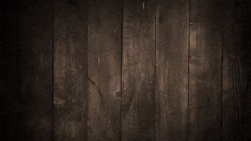 beefjerkyoutletstc snack beef jerky beefjerky GIF