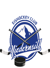 Goal Tor Sticker by EC Niedernsill Islanders