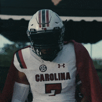 South Carolina Gamecocks Flag GIF by gamecocksonline