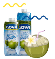 GoyaFoods banana coco coconut brick Sticker
