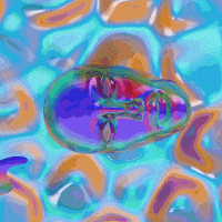 design distort GIF by Trippyogi