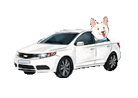 Happy Car Sticker