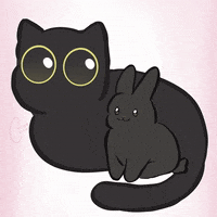 Best Friends Cute Animals GIF