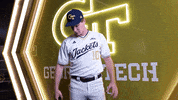 Georgia Tech Baseball GIF by Georgia Tech Yellow Jackets