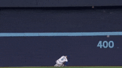 Blue Jays Wow GIF by MLB