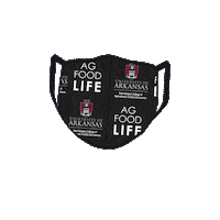 Arkansas Razorbacks Sticker by BumpersCollege