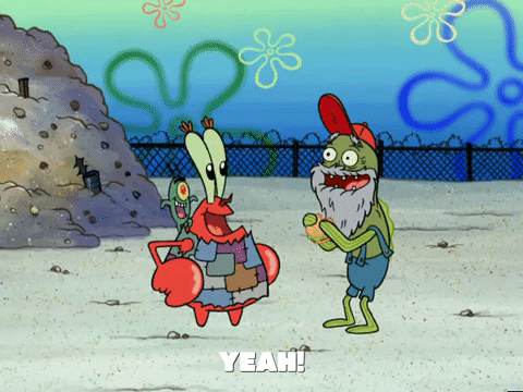 season 5 GIF by SpongeBob SquarePants