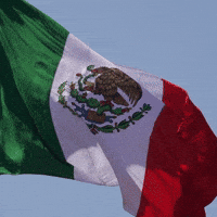 Mexican Flag Mexico GIF by FIA World Rally Championship